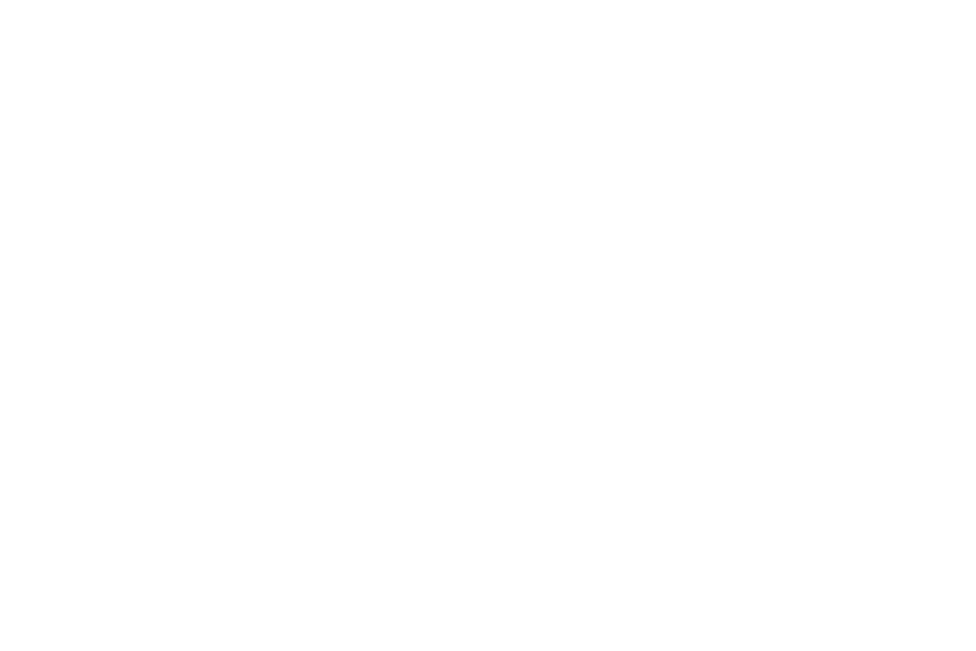 t-phormat_wagners-landhaus