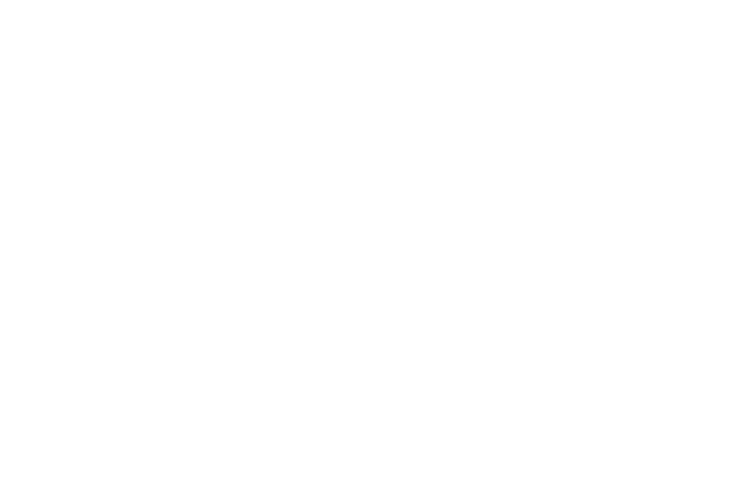 Logo Christa Blang Mode in Schweich Modegeschäft Webdesign Webseite Programmierung technische Umsetzung Phormat Werbeagentur Daun